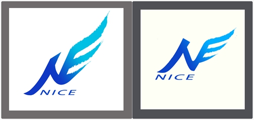 nice计划logo